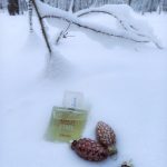 عطر ادکلن لیک بروکارد - Lykke Brocard - بررسی، قیمت و خرید