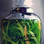 عطر ادکلن آماریج دمور ژیوانشی - Amarige D'Amour Givenchy - بررسی، قیمت و خرید