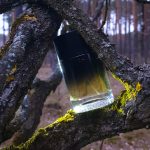 عطر ادکلن سی و چهار بولوار سن ژرمن او دو پرفیوم دیپتیک - 34 Boulevard Saint Germain Eau de Parfum Diptyque - بررسی، قیمت و خرید