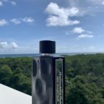 عطر ادکلن فرست اینستینکت بلو ابرکرومبی اند فچ - First Instinct Blue Abercrombie & Fitch - بررسی، قیمت و خرید