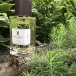 عطر ادکلن شمال بوتانیکا - Shomal Botanicae - بررسی، قیمت و خرید