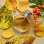 عطر ادکلن بوربری وومن بربری - Burberry Women Burberry - بررسی، قیمت و خرید