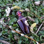 عطر ادکلن سامسارا او دو پرفیوم گرلن - Samsara Eau de Parfum Guerlain - بررسی، قیمت و خرید