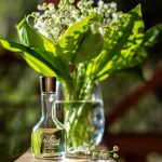 عطر ادکلن موگه ده بوا کوتی - Muguet des Bois Coty - بررسی، قیمت و خرید