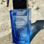 عطر ادکلن کوستال کلیفس بث اند بادی ورکس - Coastal Cliffs Bath & Body Works - بررسی، قیمت و خرید