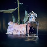 عطر ادکلن لا پتی روب نویر او دو تویلت گرلن - La Petite Robe Noire Eau de Toilette (2025) Guerlain - بررسی، قیمت و خرید