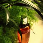 عطر ادکلن اُ دِنِرژی بایودرما - Eau d'Energie Biotherm - بررسی، قیمت و خرید
