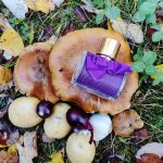 عطر ادکلن چی او د پرفیوم سابلایم کارولینا هررا - CH Eau De Parfum Sublime Carolina Herrera - بررسی، قیمت و خرید