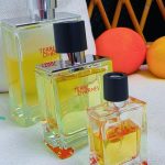 عطر ادکلن تر د هرمس اِرمِس - Terre d'Hermès Hermès - بررسی، قیمت و خرید