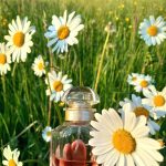 عطر ادکلن مون گرلن گِرلَن - Mon Guerlain Guerlain - بررسی، قیمت و خرید