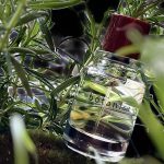 عطر ادکلن بوتانیست بجورک اند بریز - Botanist Bjork and Berries - بررسی، قیمت و خرید
