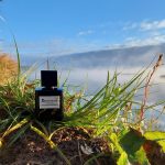 عطر ادکلن آگارسنز بریکورت - Agaressence Brecourt - بررسی، قیمت و خرید