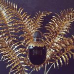 عطر ادکلن مک‌کویین پرفیوم الکساندر مک کوئین - McQueen Parfum Alexander McQueen - بررسی، قیمت و خرید