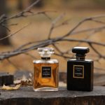 عطر ادکلن کوکو نوآر شنل - Coco Noir Chanel - بررسی، قیمت و خرید