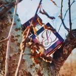 عطر ادکلن امبر میستیک اِستِی لادِر - Amber Mystique Estée Lauder - بررسی، قیمت و خرید