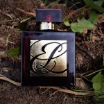 عطر ادکلن امبر میستیک اِستِی لادِر - Amber Mystique Estée Lauder - بررسی، قیمت و خرید