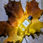 عطر ادکلن جرزی او دو پارفوم شانل - Jersey Eau de Parfum Chanel - بررسی، قیمت و خرید