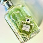 عطر ادکلن شانل نامبر نوزده پرفیوم شانل - Chanel No 19 Parfum Chanel - بررسی، قیمت و خرید
