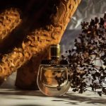 عطر ادکلن نوماد جزمین ناتورل اینتنس کلوئه - Nomade Jasmin Naturel Intense Chloé - بررسی، قیمت و خرید