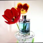 عطر ادکلن اودو کارتیر وتیور بلو کارتیر - Eau de Cartier Vetiver Bleu Cartier - بررسی، قیمت و خرید