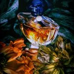 عطر ادکلن شالیمار او دو پرفیوم گرلن - Shalimar Eau de Parfum Guerlain - بررسی، قیمت و خرید