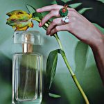 عطر ادکلن بیاند پارادایس اِستِه لادِر - Beyond Paradise Estée Lauder - بررسی، قیمت و خرید
