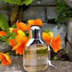 عطر ادکلن دی بیت باربری - The Beat Burberry - بررسی، قیمت و خرید