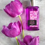 عطر ادکلن کالر فیلینگ پرپل بروکارد - Color Feeling Purple Brocard - بررسی، قیمت و خرید