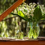 عطر ادکلن موگه ده بوا کوتی - Muguet des Bois Coty - بررسی، قیمت و خرید