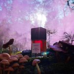 عطر ادکلن مجیک ماشرومز بوهوبوکو - Magic Mushrooms Bohoboco - بررسی، قیمت و خرید