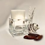 عطر ادکلن ایلوژیون تونکا سولر بوتگا ونتا - Illusione Tonka Solaire Bottega Veneta - بررسی، قیمت و خرید