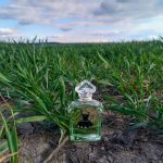 عطر ادکلن لا پتی روب نواغ او فرش گرلن - La Petite Robe Noire Eau Fraiche Guerlain - بررسی، قیمت و خرید