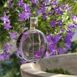 عطر ادکلن چنس او اسپلندید شانل - Chance Eau Splendide Chanel - بررسی، قیمت و خرید