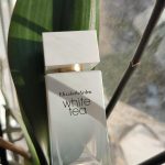 عطر ادکلن وایت تی الیزابت آردن - White Tea Elizabeth Arden - بررسی، قیمت و خرید