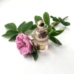 عطر ادکلن آکوا آلگوریا فورته رزا روسا گرلن - Aqua Allegoria Forte Rosa Rossa Guerlain - بررسی، قیمت و خرید