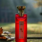 عطر ادکلن او پارفومه او دِ روژ بولگاری - Eau Parfumee au The Rouge Bvlgari - بررسی، قیمت و خرید