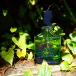 عطر ادکلن اوریجینال وتیور کرید - Original Vetiver Creed - بررسی، قیمت و خرید