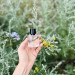 عطر ادکلن رایون ورت باستیل پرفیومز - Rayon Vert Bastille Parfums - بررسی، قیمت و خرید