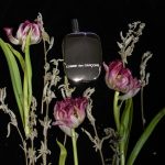 عطر ادکلن کوم دو گارسون کوم دس گارسون - Comme des Garcons 2 Comme des Garcons - بررسی، قیمت و خرید