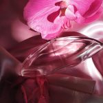 عطر ادکلن یوفوریا او دو تویلت کلون کلاین - Euphoria Eau de Toilette (2023) Calvin Klein - بررسی، قیمت و خرید