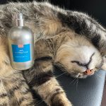 عطر ادکلن وانیل ابریکو کامپتوآ سوود پاسیفیک - Vanille Abricot Comptoir Sud Pacifique - بررسی، قیمت و خرید