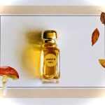 عطر ادکلن ژیوانشی تری ژیوانشی - Givenchy III Givenchy - بررسی، قیمت و خرید