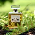 عطر ادکلن شانل نامبر نوزده پرفیوم شانل - Chanel No 19 Parfum Chanel - بررسی، قیمت و خرید