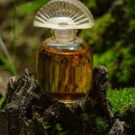 عطر ادکلن رر گلد اِی‌وان - Rare Gold Avon - بررسی، قیمت و خرید