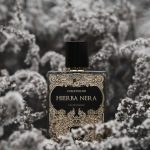 عطر ادکلن هیربا نرا کورتِرنو - Hierba Nera Coreterno - بررسی، قیمت و خرید