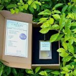 عطر ادکلن سانگز آو ترا کاستنز پرفیومز - Songs of Terra Castanez Parfums - بررسی، قیمت و خرید
