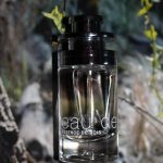 عطر ادکلن اُ دِ کارتیر اِسَنس دِ بوا کارتیه - Eau de Cartier Essence de Bois Cartier - بررسی، قیمت و خرید