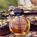 عطر ادکلن لی بیسر دو دراگون کارتیر - Le Baiser Du Dragon Cartier - بررسی، قیمت و خرید