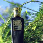 عطر ادکلن تیب بلند عود - Teeb Blend Oud - بررسی، قیمت و خرید