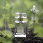 عطر ادکلن نوزده پنج دیتیل - 1905 Detaille - بررسی، قیمت و خرید